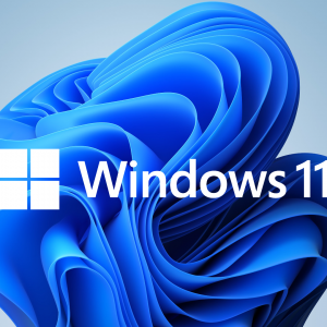 Windows 11 Pro Key 32/64